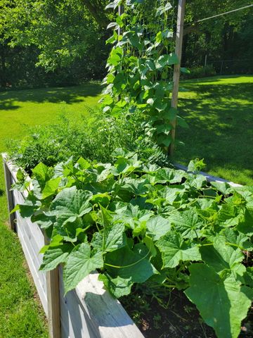 165 Thelma Drive, Battle Creek, MI 49014