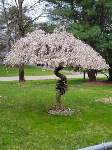 165 Thelma Drive, Battle Creek, MI 49014