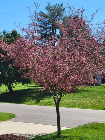 165 Thelma Drive, Battle Creek, MI 49014