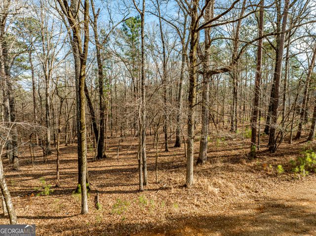 1021 Shadow Creek Way, Greensboro, GA 30642