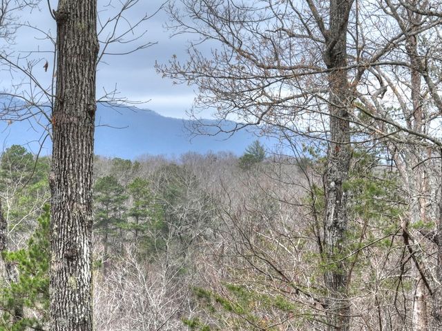 111 Roaring Creek Road, Epworth, GA 30541