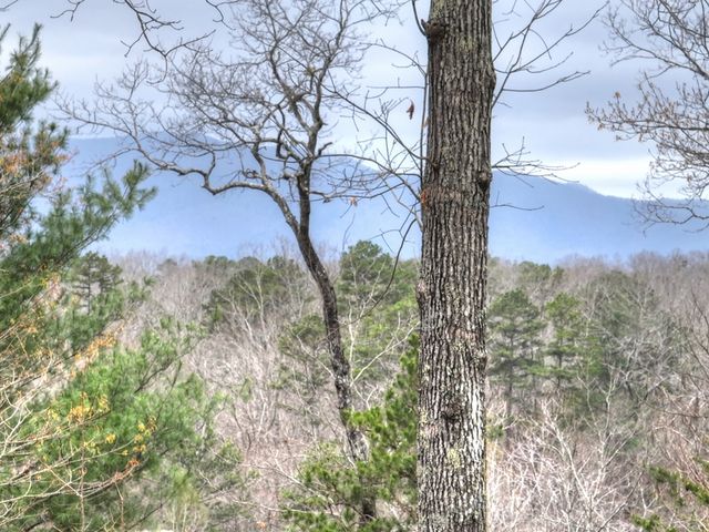 111 Roaring Creek Road, Epworth, GA 30541