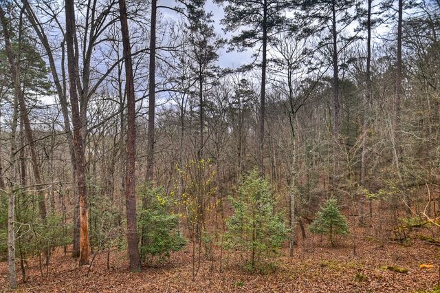 111 Roaring Creek Road, Epworth, GA 30541