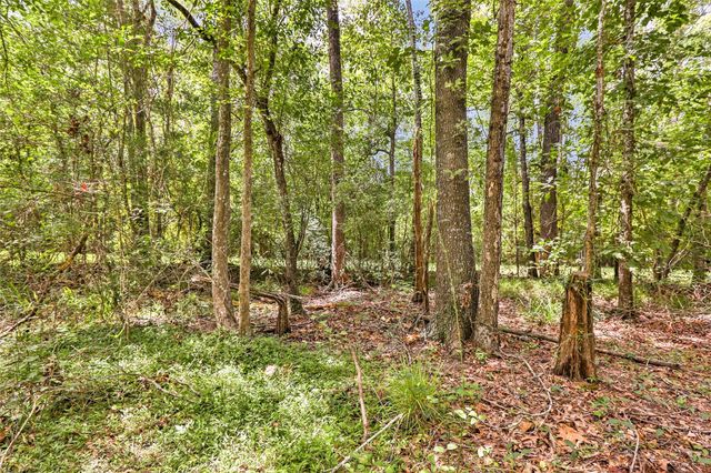 18334 Steele Point Drive, Crosby, TX 77532