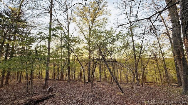 2345 Overlook Drive, Kansas, OK 74347