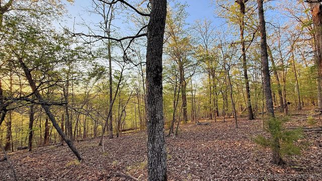 2345 Overlook Drive, Kansas, OK 74347