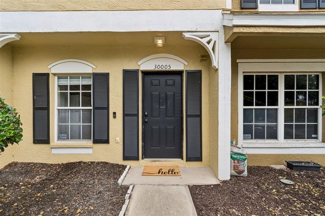 30005 GRANDA HILLS COURT, Wesley Chapel, FL 33543