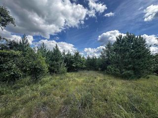 40 AC Buttercup Ave E Acres, Arkdale, WI 54613