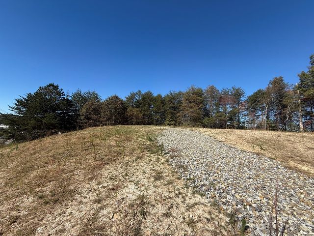Lot 11 Lindsey Lane, Blue Ridge, GA 30513