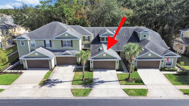 20119 WEEPING LAUREL PLACE, Tampa, FL 33647