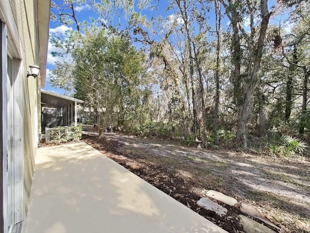 Image 37 of property listing at 20119 WEEPING LAUREL PLACE, Tampa, FL 33647