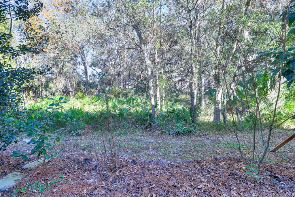 Image 46 of property listing at 20119 WEEPING LAUREL PLACE, Tampa, FL 33647