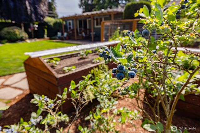 1115 Rhodes Road, Sedro Woolley, WA 98284