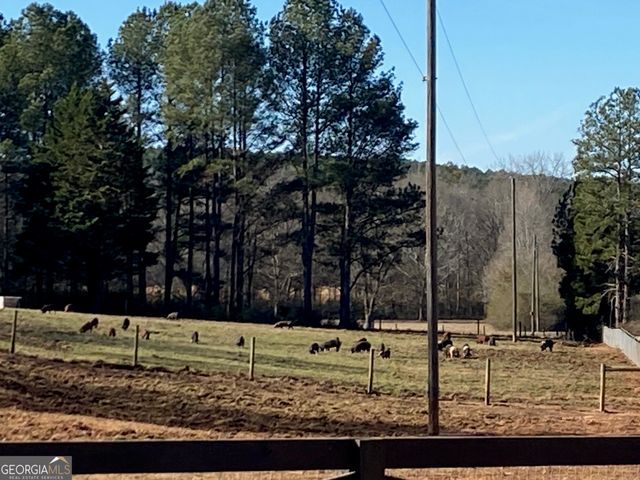 919 Arnold Bottoms Road, Comer, GA 30629