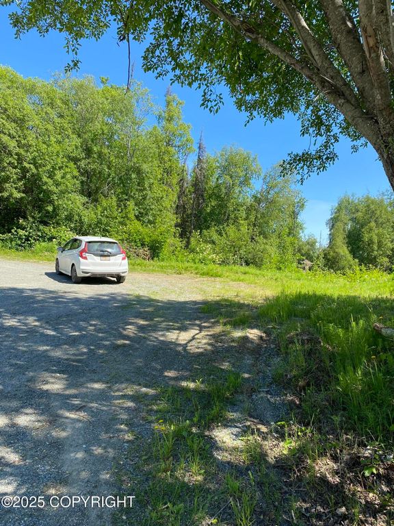17416 W Marion Drive, Big Lake, AK 99654
