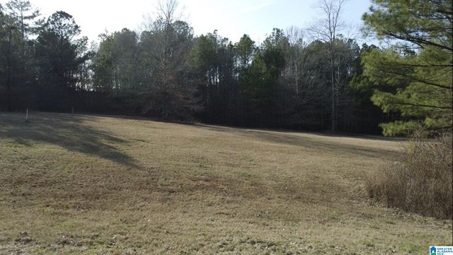 375 WILLOW CREEK DRIVE, Lincoln, AL 35096