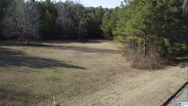 375 WILLOW CREEK DRIVE, Lincoln, AL 35096