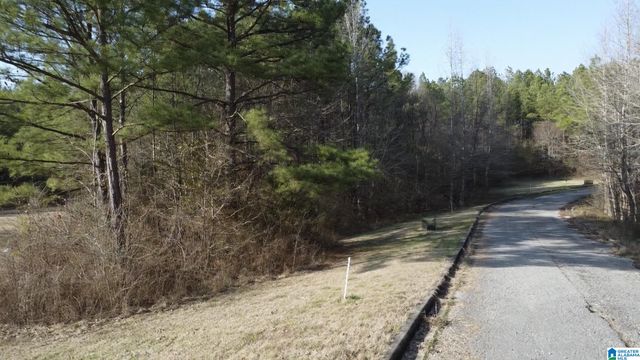 375 WILLOW CREEK DRIVE, Lincoln, AL 35096