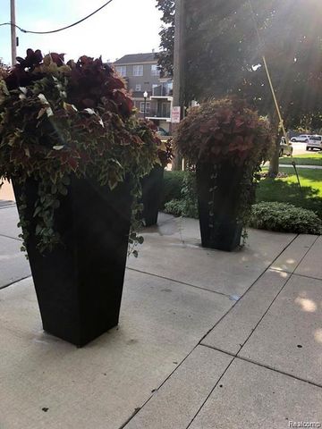 20 Chestnut Street 401 & 408, Wyandotte, MI 48192