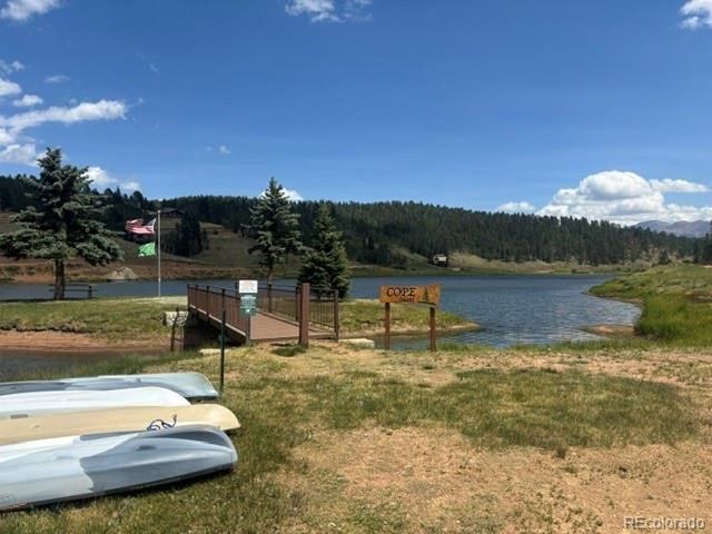65 Shadow Lake Dr, Divide, CO 80814
