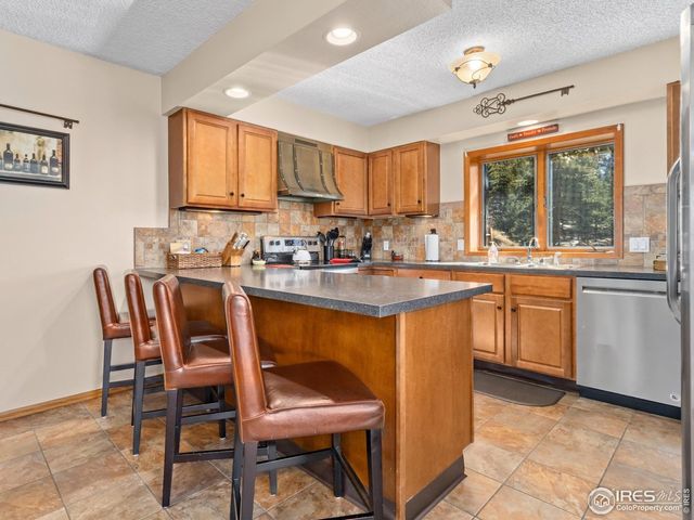 1731 Aspencliff Ct 1, Estes Park, CO 80517