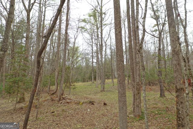 220 Evans Lane, Lakemont, GA 30552