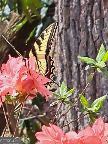 220 Evans Lane, Lakemont, GA 30552