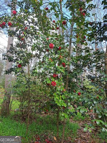 220 Evans Lane, Lakemont, GA 30552