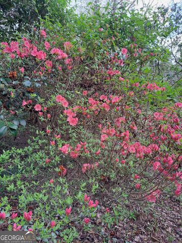 220 Evans Lane, Lakemont, GA 30552