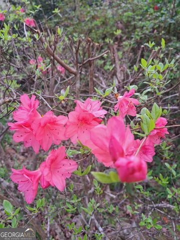 220 Evans Lane, Lakemont, GA 30552