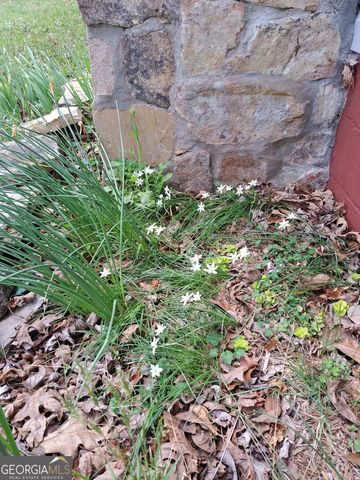 220 Evans Lane, Lakemont, GA 30552