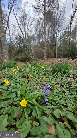 220 Evans Lane, Lakemont, GA 30552