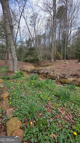 220 Evans Lane, Lakemont, GA 30552