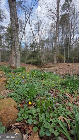 220 Evans Lane, Lakemont, GA 30552