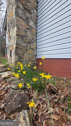 220 Evans Lane, Lakemont, GA 30552