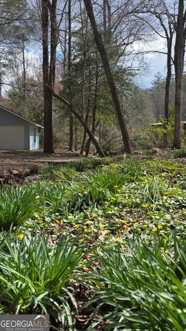 220 Evans Lane, Lakemont, GA 30552