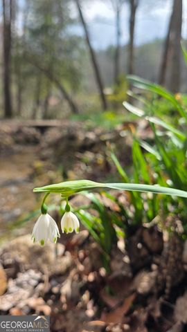 220 Evans Lane, Lakemont, GA 30552