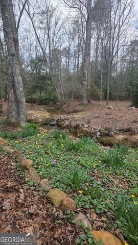 220 Evans Lane, Lakemont, GA 30552