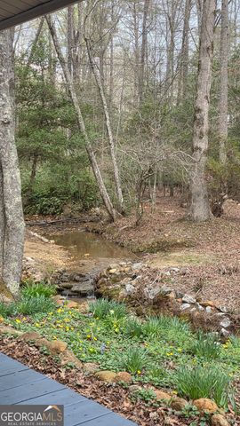220 Evans Lane, Lakemont, GA 30552