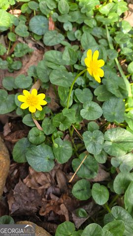 220 Evans Lane, Lakemont, GA 30552