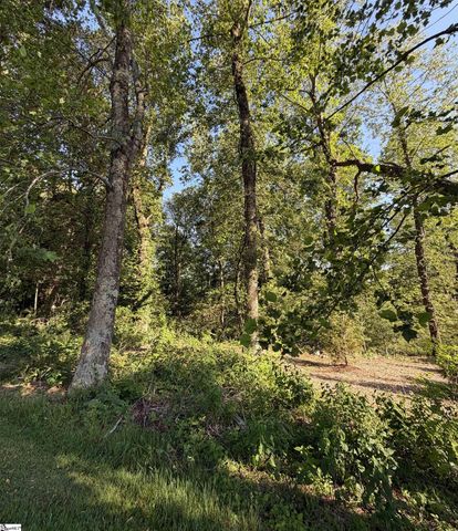 103 May Apple Way, Landrum, SC 29356
