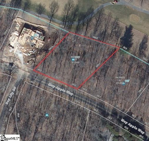 103 May Apple Way, Landrum, SC 29356