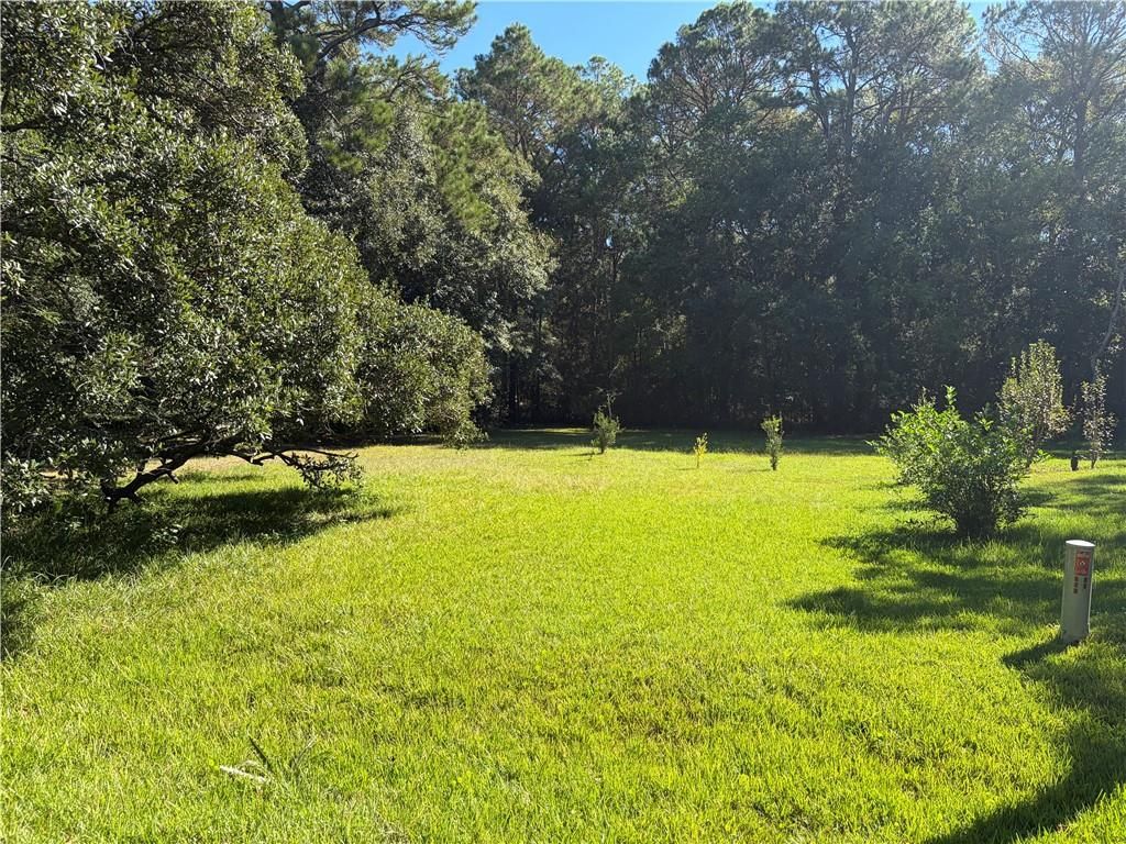 0 Bayou Jonas Drive, Coden, AL 36523 — photo 3