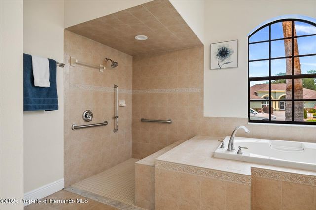 13422 Twinberry Drive, Spring Hill, FL 34609