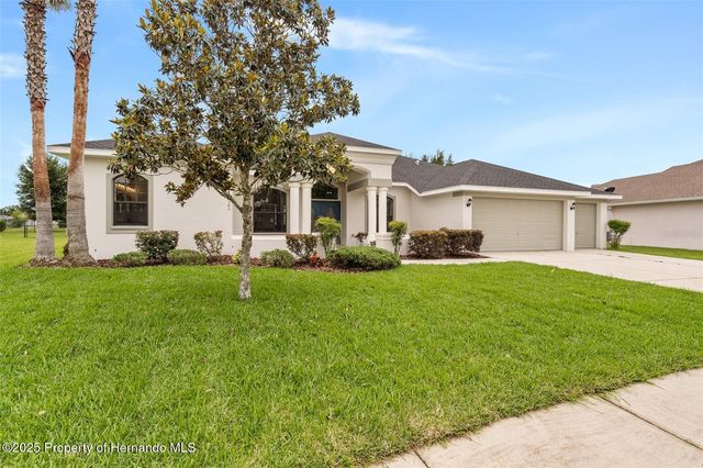 13422 Twinberry Drive, Spring Hill, FL 34609