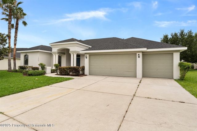 13422 Twinberry Drive, Spring Hill, FL 34609
