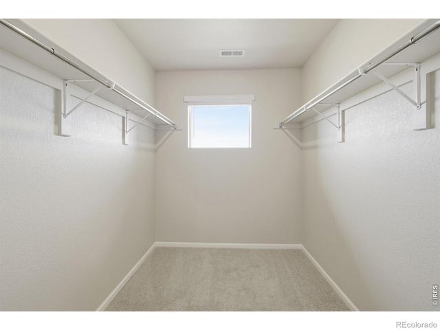 1594 Riverplace Drive 4, Windsor, CO 80550
