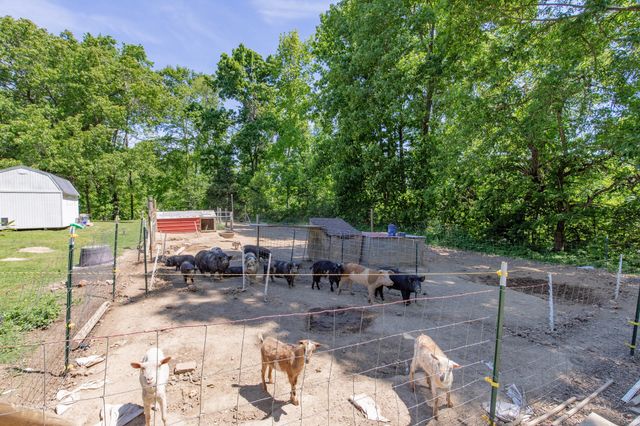 2976 Shrum Cemetery Rd, Westmoreland, TN 37186