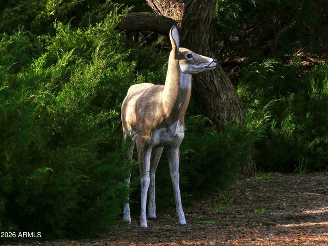 155 W FORT MCDOWELL Place, Camp Verde, AZ 86322