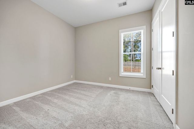 2011 Harvestwood Lane, Chapin, SC 29036